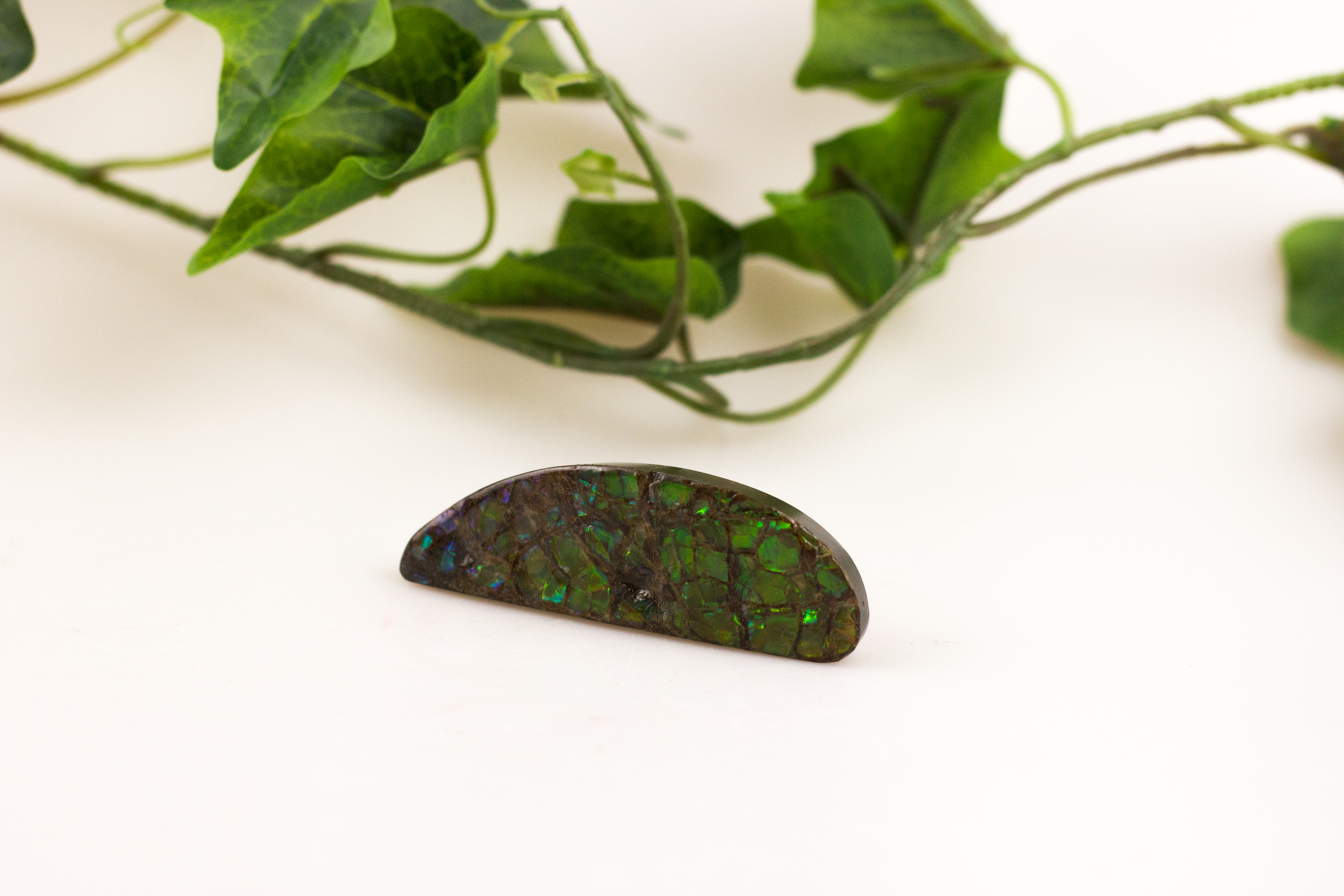 Anschliff Ammolith Unikat #76 Freiform, Gewicht: 42 g, Maße 24x73 mm