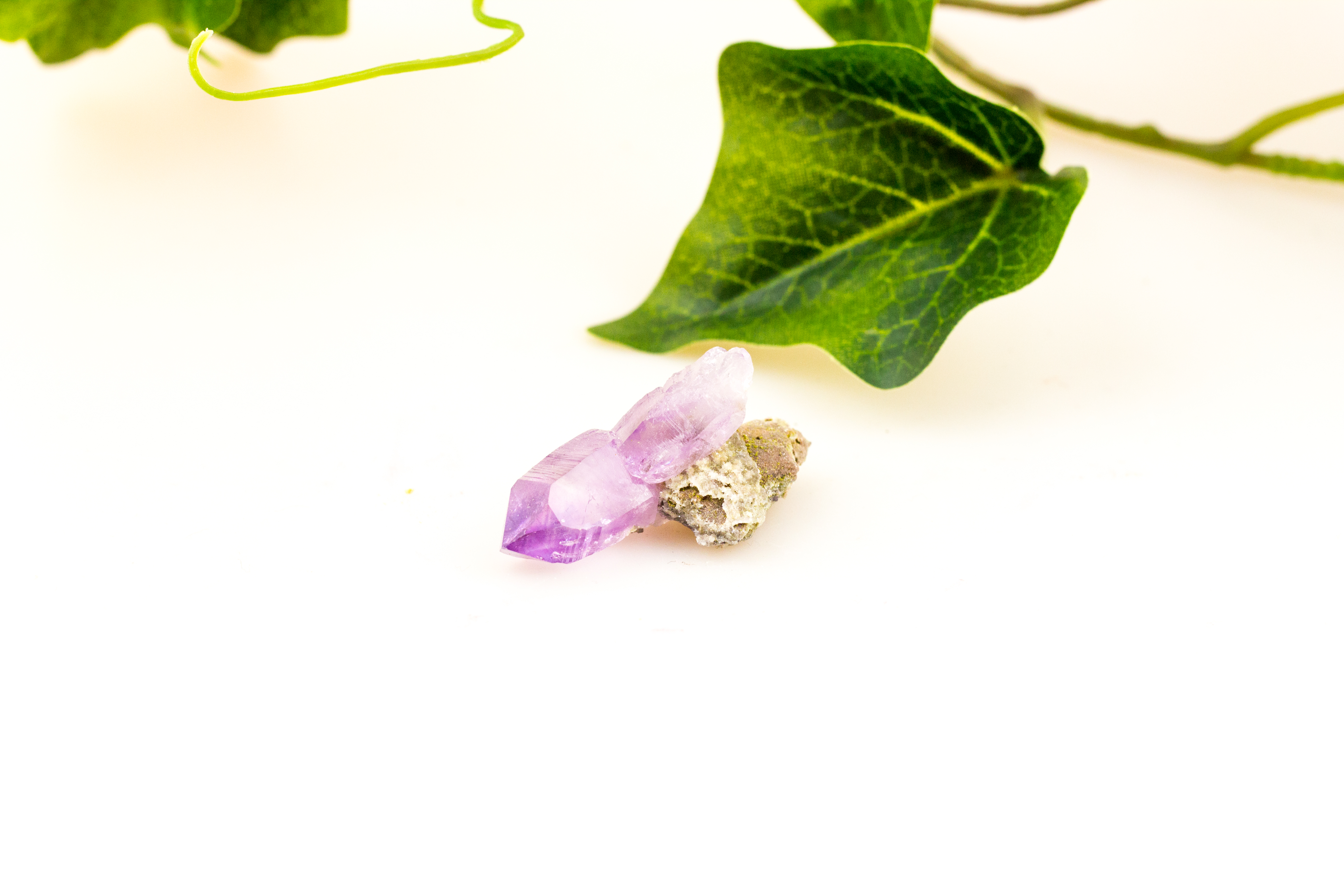 Amethyst auf Matrix aus Vera Cruz in Mexico