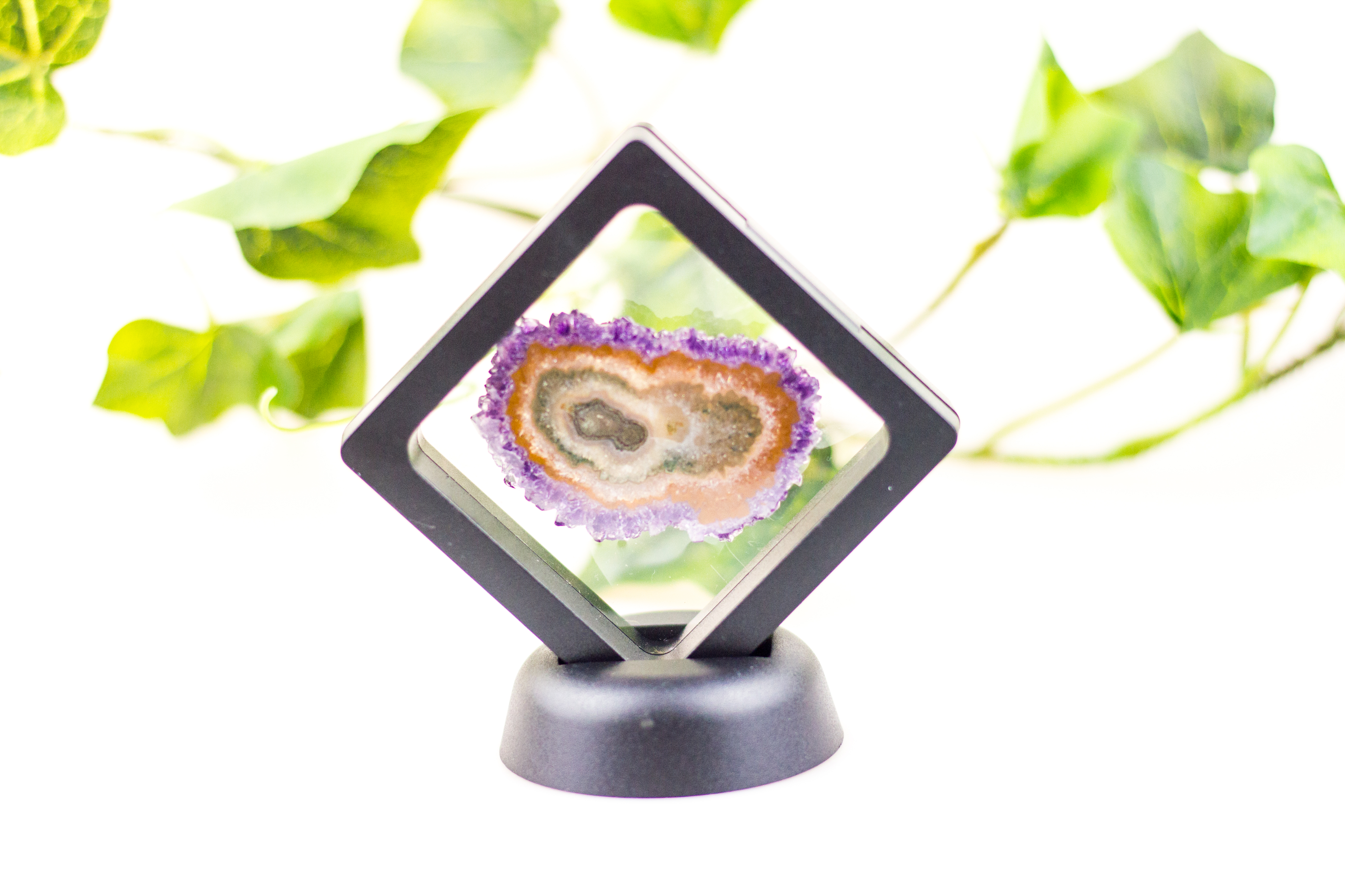 Membran Boxen zum Ausstellen kleiner Schätze