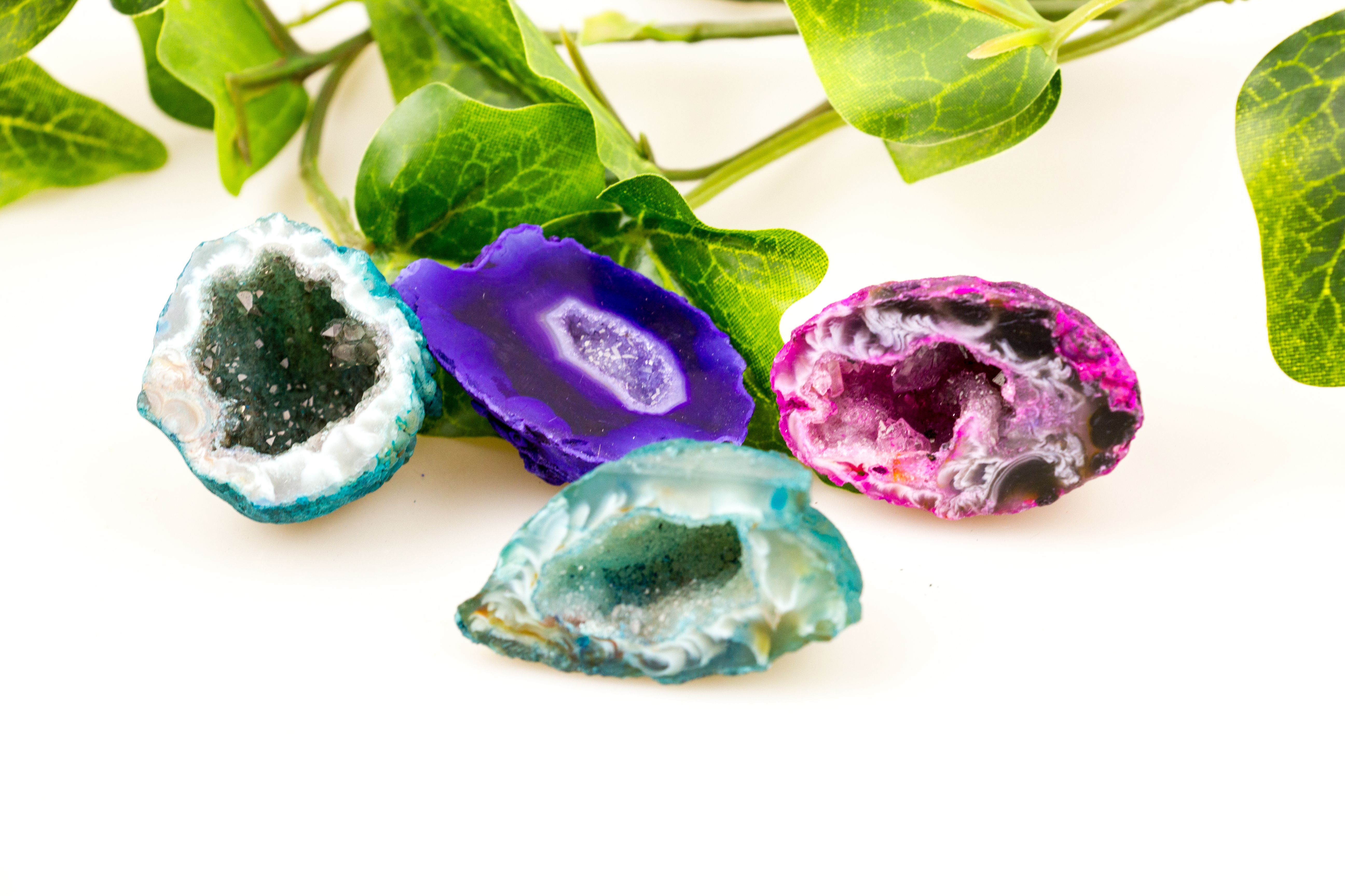 Nussgeoden bunt aus Brasilien, zufällig gewählte Farbe