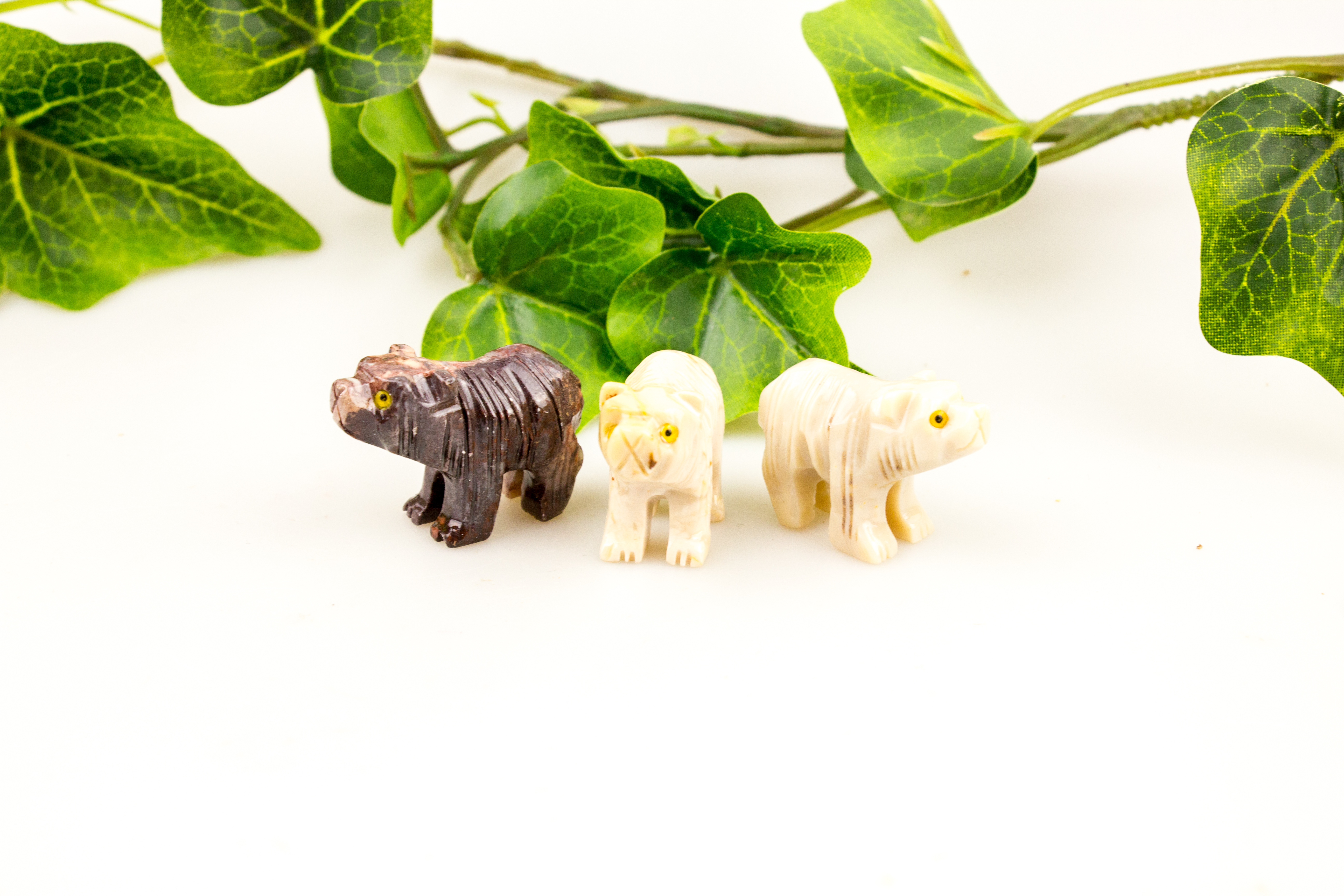 Specksteintier - Bär